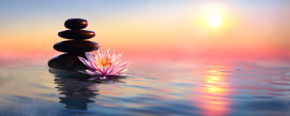 Salon du Bien Etre du 13 au 15 Mars 2026