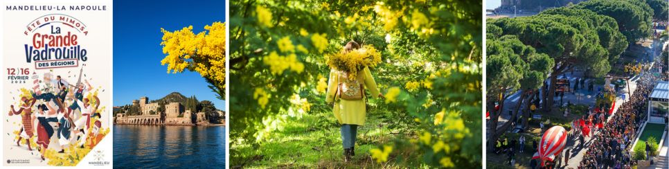 FETE DU MIMOSA